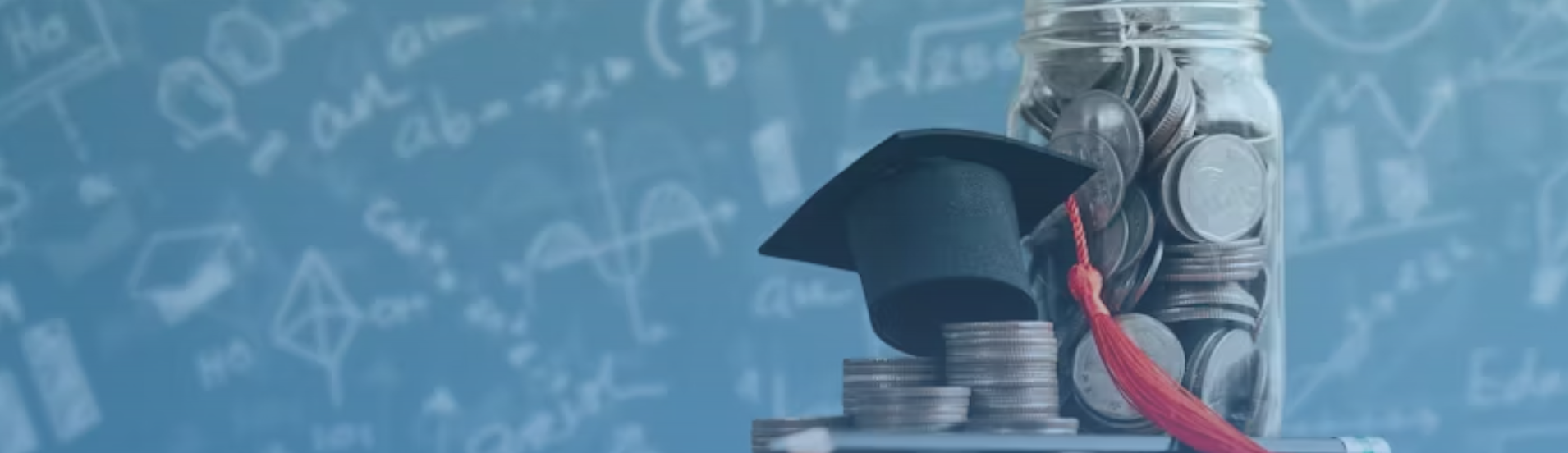 təqaüd proqramları