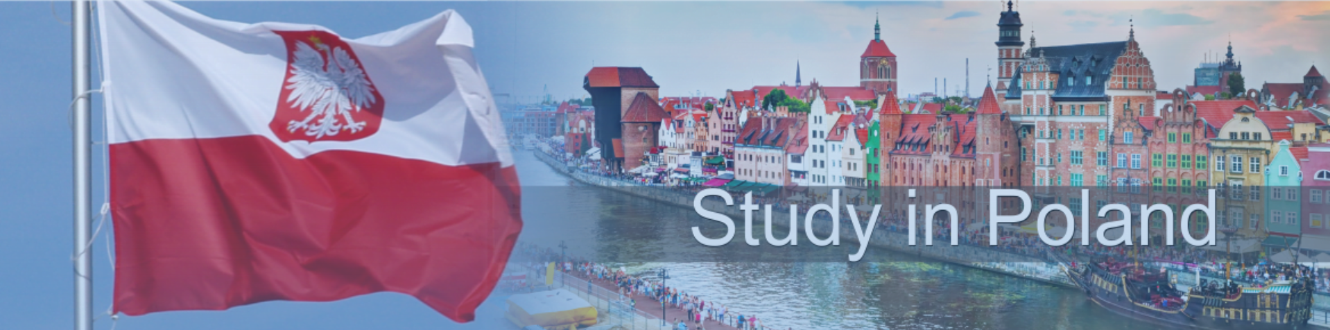 Polsada tehsil qiymetleri