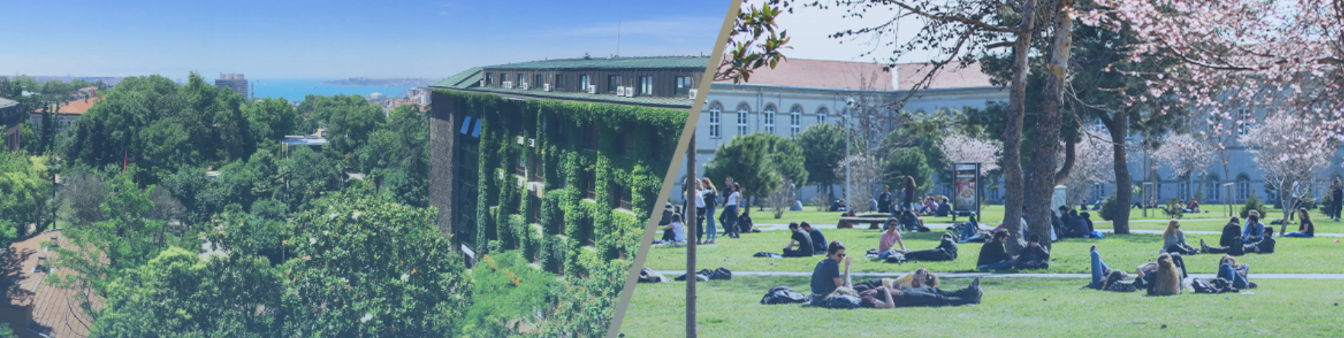 Yıldız Texnik Universiteti