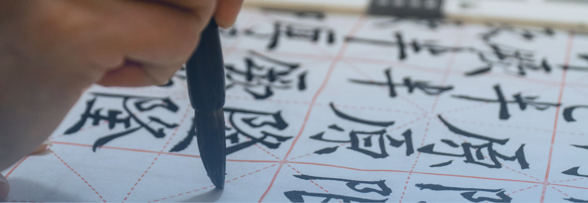 çin dili öyrənmək